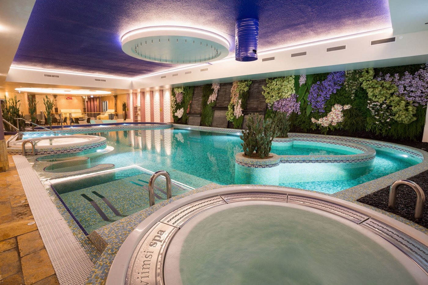 Spa and wellness treatment room
